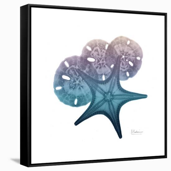 Ocean Hues Starfish and Sand Dollar-Albert Koetsier-Framed Stretched Canvas