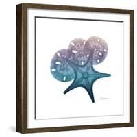 Ocean Hues Starfish and Sand Dollar-Albert Koetsier-Framed Art Print