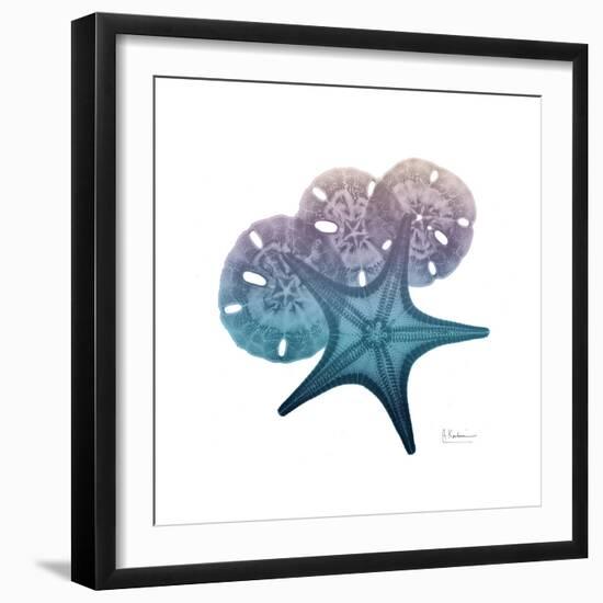 Ocean Hues Starfish and Sand Dollar-Albert Koetsier-Framed Art Print