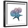 Ocean Hues Starfish and Sand Dollar-Albert Koetsier-Framed Art Print