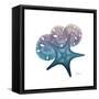 Ocean Hues Starfish and Sand Dollar-Albert Koetsier-Framed Stretched Canvas