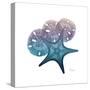 Ocean Hues Starfish and Sand Dollar-Albert Koetsier-Stretched Canvas