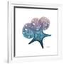 Ocean Hues Starfish and Sand Dollar-Albert Koetsier-Framed Art Print