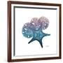 Ocean Hues Starfish and Sand Dollar-Albert Koetsier-Framed Art Print