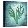 Ocean Indian Ocean-LightBoxJournal-Stretched Canvas