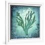 Ocean Indian Ocean-LightBoxJournal-Framed Giclee Print