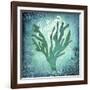 Ocean Indian Ocean-LightBoxJournal-Framed Giclee Print