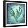 Ocean Indian Ocean-LightBoxJournal-Framed Giclee Print