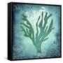 Ocean Indian Ocean-LightBoxJournal-Framed Stretched Canvas