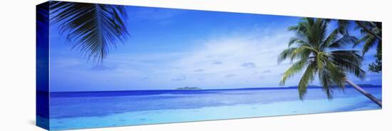 Ocean, Island, Water, Palm Trees, Maldives-null-Stretched Canvas