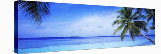 Ocean, Island, Water, Palm Trees, Maldives-null-Stretched Canvas