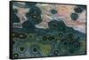 Ocean Jasper from Madagascar-Darrell Gulin-Framed Stretched Canvas