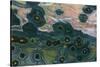 Ocean Jasper from Madagascar-Darrell Gulin-Stretched Canvas