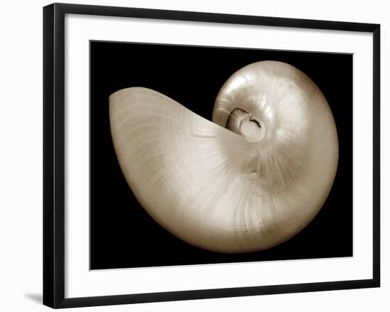 Ocean Keepsake I-Charles Britt-Framed Art Print