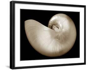 Ocean Keepsake I-Charles Britt-Framed Art Print