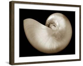 Ocean Keepsake I-Charles Britt-Framed Art Print