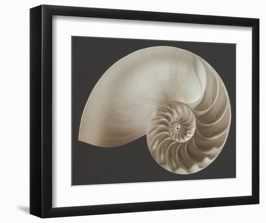 Ocean Keepsake II-Charles Britt-Framed Art Print