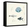 Ocean Life Fish-Becky Thorns-Framed Stretched Canvas