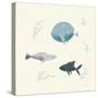 Ocean Life Fish-Becky Thorns-Stretched Canvas