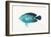 Ocean Life I-Avery Tillmon-Framed Art Print