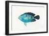 Ocean Life I-Avery Tillmon-Framed Art Print