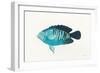 Ocean Life I-Avery Tillmon-Framed Art Print