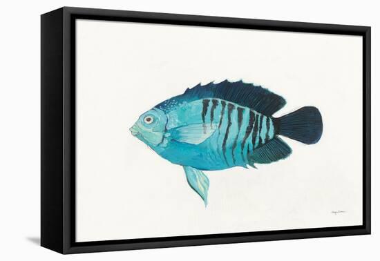 Ocean Life I-Avery Tillmon-Framed Stretched Canvas