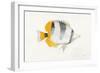 Ocean Life II-Avery Tillmon-Framed Art Print