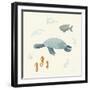 Ocean Life Sea Turtle-Becky Thorns-Framed Art Print