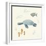 Ocean Life Sea Turtle-Becky Thorns-Framed Art Print