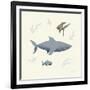 Ocean Life Shark-Becky Thorns-Framed Art Print