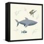 Ocean Life Shark-Becky Thorns-Framed Stretched Canvas