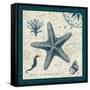 Ocean Life V-Pela-Framed Stretched Canvas