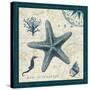 Ocean Life V-Pela-Stretched Canvas