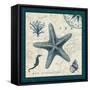 Ocean Life V-Pela-Framed Stretched Canvas