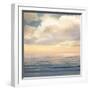 Ocean Light I-John Seba-Framed Art Print