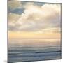 Ocean Light I-John Seba-Mounted Art Print