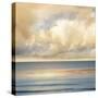 Ocean Light II-John Seba-Stretched Canvas