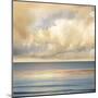 Ocean Light II-John Seba-Mounted Art Print