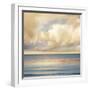 Ocean Light II-John Seba-Framed Art Print