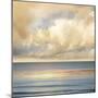 Ocean Light II-John Seba-Mounted Art Print