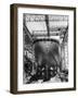 Ocean Liner America in Shipyard Prior to Launch-Alfred Eisenstaedt-Framed Photographic Print
