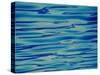 Ocean, Maldives-Stuart Westmorland-Stretched Canvas