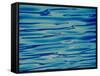 Ocean, Maldives-Stuart Westmorland-Framed Stretched Canvas