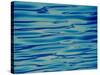 Ocean, Maldives-Stuart Westmorland-Stretched Canvas