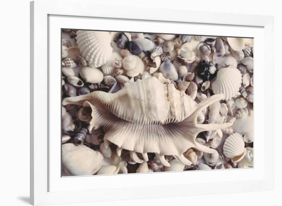 Ocean Medley-John Harper-Framed Giclee Print