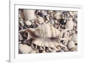 Ocean Medley-John Harper-Framed Giclee Print