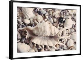 Ocean Medley-John Harper-Framed Giclee Print