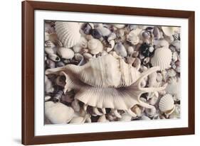 Ocean Medley-John Harper-Framed Giclee Print