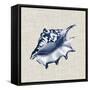 Ocean Memento IV-Vision Studio-Framed Stretched Canvas